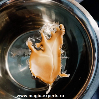 Дарья Александровна