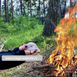 Людмила Вольт