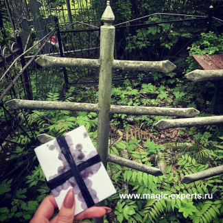 Людмила Вольт