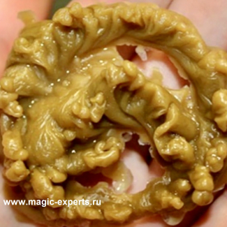 Людмила Вольт