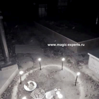 Людмила Вольт