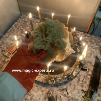 Людмила Вольт