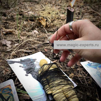 Людмила Вольт