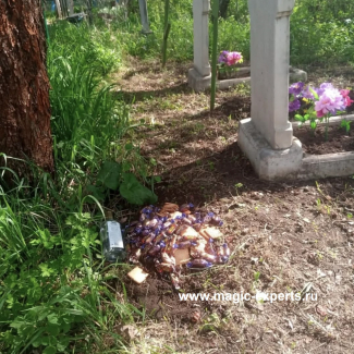 Бабушка Агафья