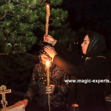 София Николаевна