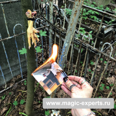 Людмила Вольт