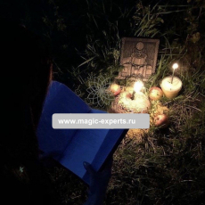 Людмила Вольт