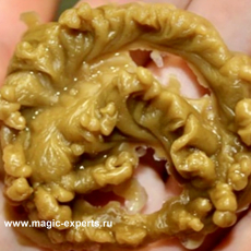 Людмила Вольт