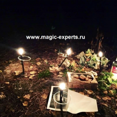 Людмила Вольт