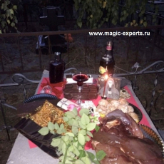 Людмила Вольт