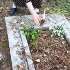 Бабушка Агафья