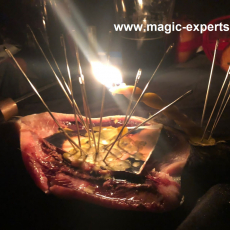 Александр Оренбургский