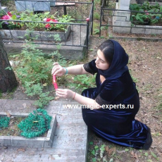 Веронна
