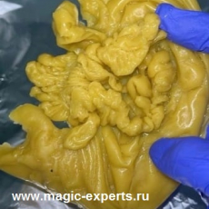 Бабушка Агафья