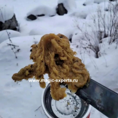 Александра Ивановна