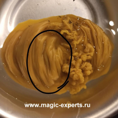 Мария Степанова