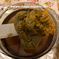 Мария Ленорман