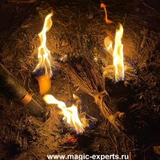 Мария Фёдоровна